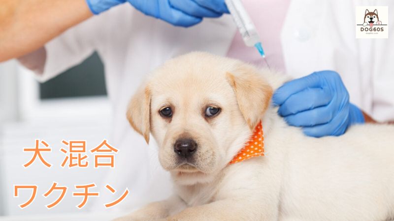 犬 混合 ワクチン